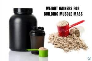 Best Weight Gainers for Building Muscle Mass